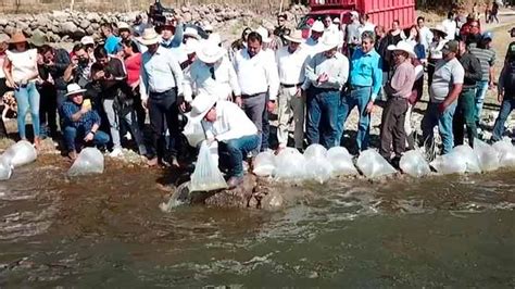 Cosecha De Agua En Presas De Zacatecas Genera Buenas Expectativas Para