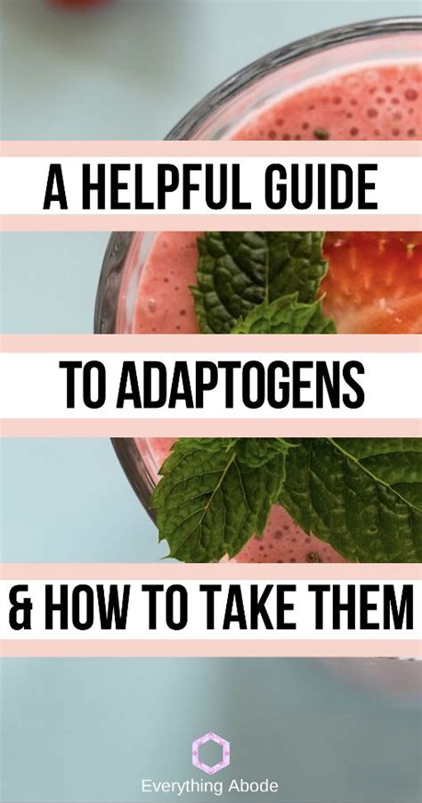 A Beginners Guide To Adaptogens Before You Take Them Artofit