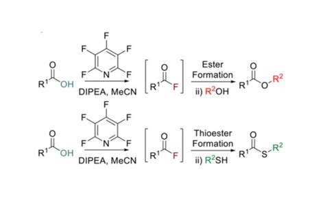 Carousel 12 Case Study One Pot Ester And Thioester Formation