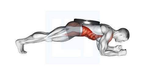 Weighted Front Plank Straight Leg Raise Leg Raises Benefits Leg Raises