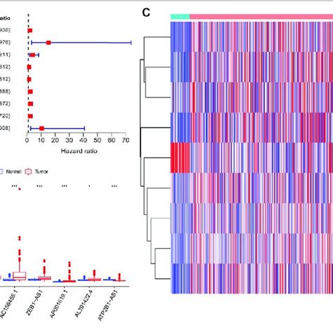 Nine Prognostic M 6 A Related LncRNAs Of COAD A Forest Map Of Nine