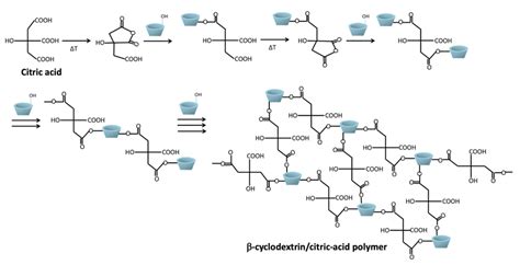 Polyesterification Reaction Between Citric Acid And β Cyclodextrin For Download Scientific