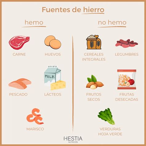 Hierro En La Alimentación ¿tienes Los Niveles Adecuados