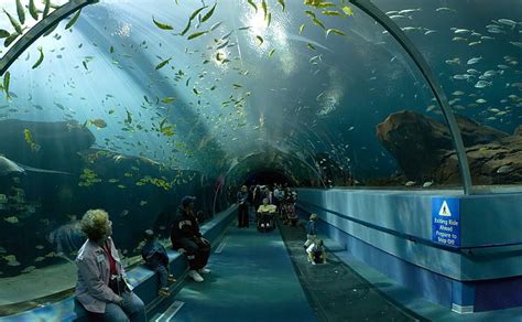 1 Aquarium In The United States - Aquarium Views