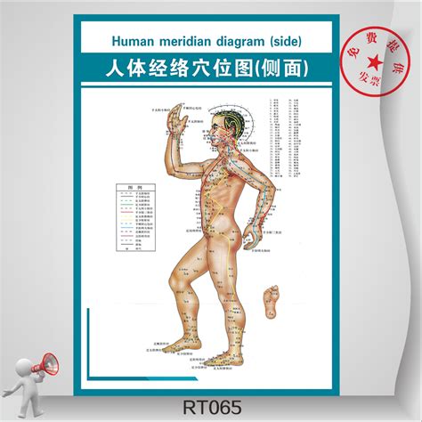 Meridian Chart Of The Human Body Meridian System Chart Body With