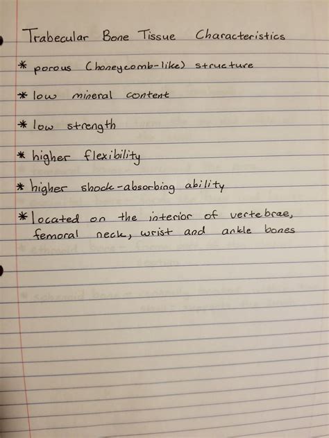 Trabecular Bone Tissue Characteristics Medical School Studying