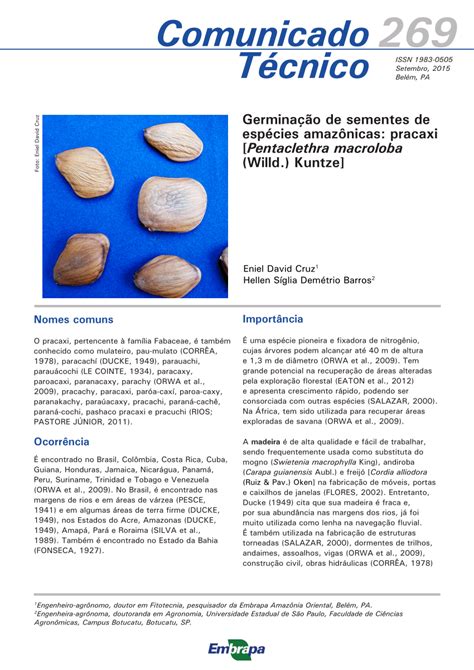 Pdf Germina O De Sementes De Esp Cies Amaz Nicas Pracaxi