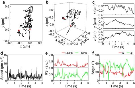 Deciphering The Real Time Spatiotemporal Spt Motion Of A Nm Fu Aunr