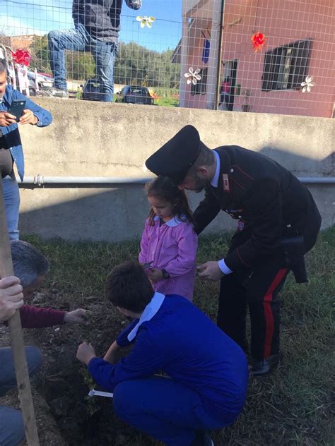 Giornata Nazionale Degli Alberi A Badia Di Nicotera I Carabinieri Del