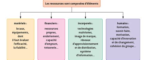 Le Diagnostic Interne Management Des Organisations 1re STMG Fiche