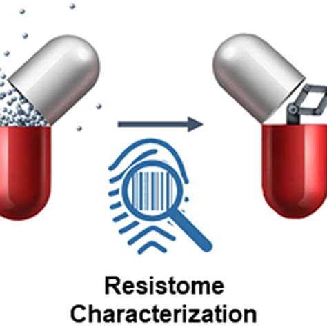 Schematic Representation Of The Three Essential Points In The Current