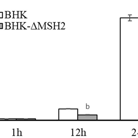 MSH2 knockout inhibited genome replication and late gene expression of ...