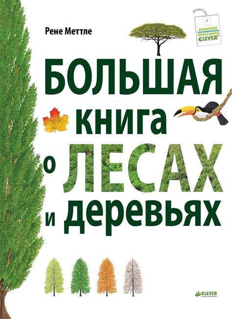 "Большая книга о лесах и деревьях" | Learn russian, Childhood books ...