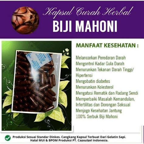 Jual Biji mahoni kapsul curah herbal biji mahoni 100 diabetes di Seller ...