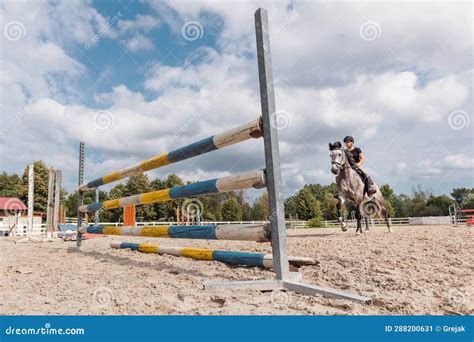 Showjumping Horse With Female Jockey Jumping Over Hurdles Stock Image