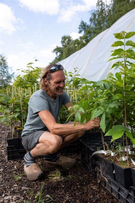 Wie Zijn We Kwekerij Stekkers Planten Voor Je Eetbare Tuin En