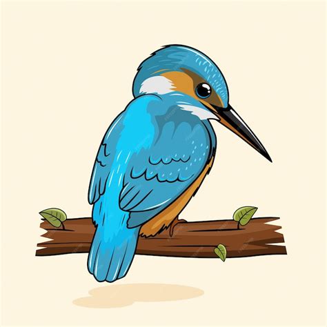 Premium Vector Kingfisher Bird Illustrations Cartoon