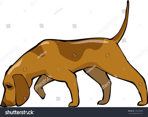 55 Bloodhound Tracking Stock Vectors Images And Vector Art Shutterstock