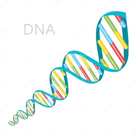 Dna Strands Icon Stock Vector Illustration Of Element 100061887