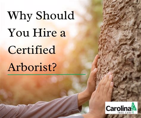 Why Should You Hire A Certified Arborist