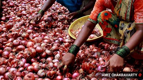 Govt Extends Ban On Onion Exports Till Further Orders Business News