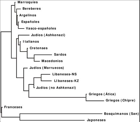 Dendrograma Neighbor Joining Que Muestra Las Relaciones Filogenéticas