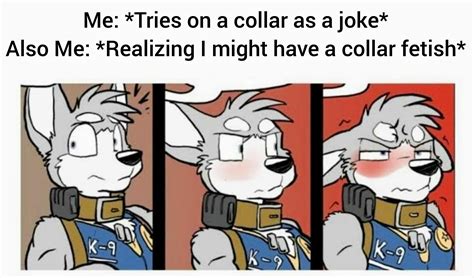 Collarirl Rfurryirl