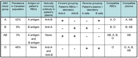 ABO Blood Type Chart