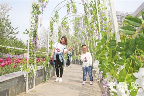 春风十里香 花漾清江浦 淮安首届清江浦百花节开幕