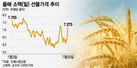 러 우크라 폭격에 밀 가격 쑥개미들 Etn 뭉칫돈 넣는데 전망은 머니투데이