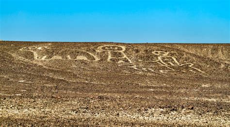 Aerial View Of Palpa Geoglyphs In Peru Stock Photo Image Of Mystery