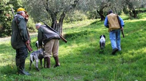 Caccia Umbria Nuovo Calendario Venatorio Preadottato