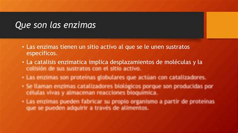 SOLUTION Las Enzimas Studypool