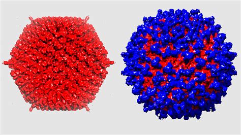 Stealth virus for cancer therapy