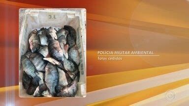 Bom Dia Cidade Sorocaba E Itapetininga Dupla Presa Por Pesca