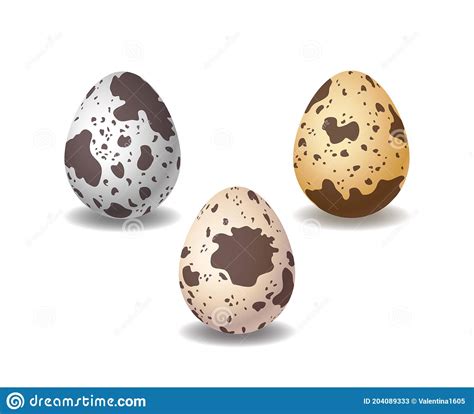 Quail Eggs Semi Realistic Vector Image Stock Vector Illustration Of