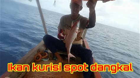 Mancing Ikan Kurisi Dapat Bonus Kerapu Merah Youtube