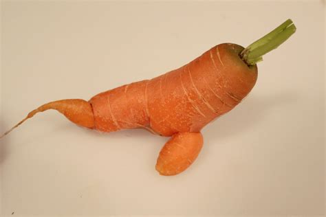 The Urban Veg Patch Carrot Characters