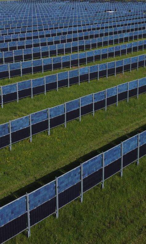 Vertikale Agri Pv Von Next Sun F R Doppelte Landnutzung