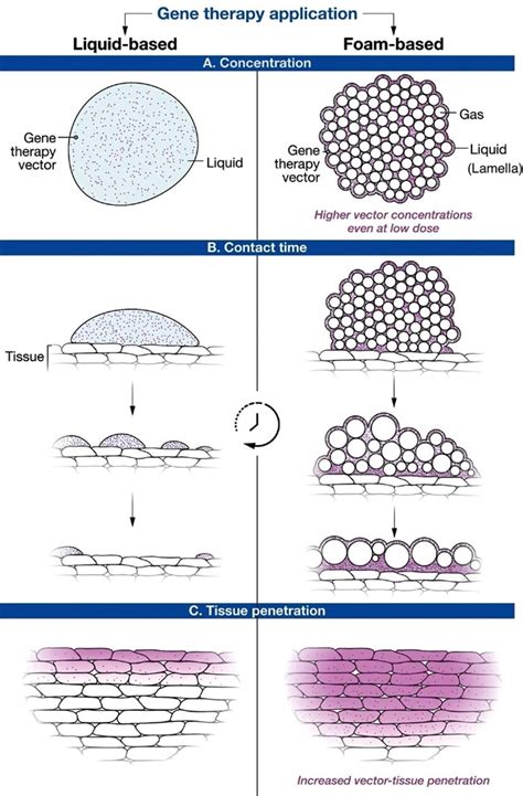 Foam Technology Revolutionizes Gene Therapy Boosting Efficiency And Safety