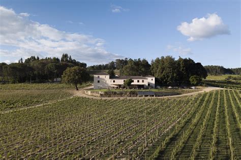 Vinhos Arquitetura E Natureza Para Saborear Na Quinta Da Taboadella