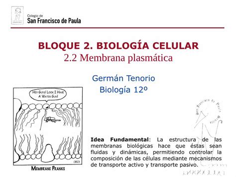 PDF BLOQUE 2 BIOLOGÍA CELULAR 2 2 Membrana a La fluidez de la