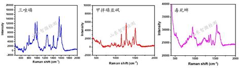 「科研型」三维阵列型固态sers衬底：超灵敏、表面洁净、结构均一sers检测芯片sers衬底表面增强拉曼散射山东智微检测科技有限公司