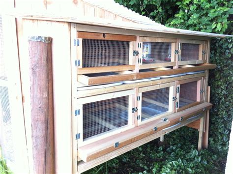 Show me your quail pens!!! | Page 86 | BackYard Chickens - Learn How to Raise Chickens