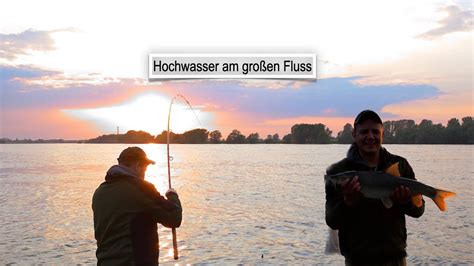 Hochwasser am großen Fluß angeln auf Aal YouTube