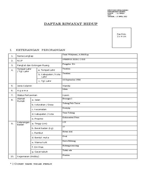 Daftar Riwayat Hidup Kepka Bkn Pdf