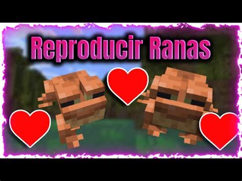 COMO REPRODUCIR RANAS En MINECRAFT 1 19 GRANJA De RANAS YouTube