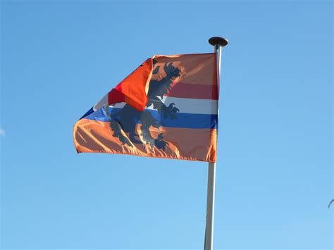 Netherlands Flag Orange