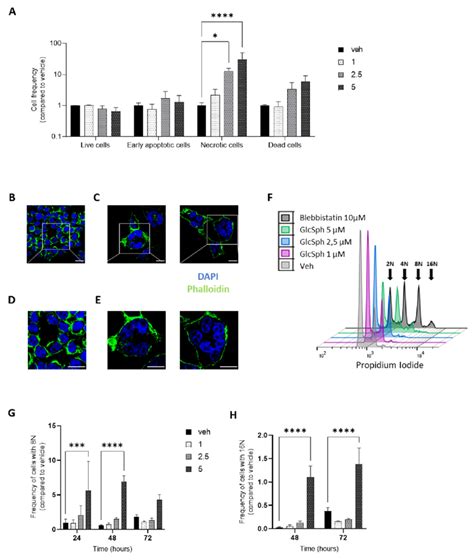 Glcsph Induces Necrosis And Produces Multinucleated Cells In A Human