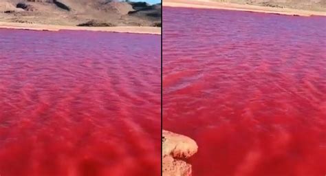 Un presagio bíblico Qué hay detrás del supuesto video del río Nilo